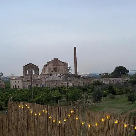 Orange Vibes * Paterna