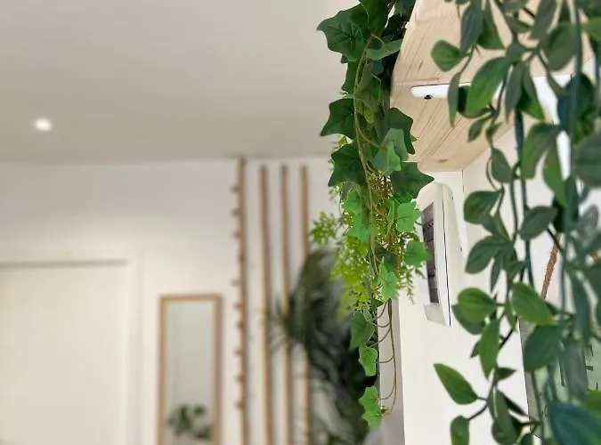 Mini-hôtel Orange Vibes
