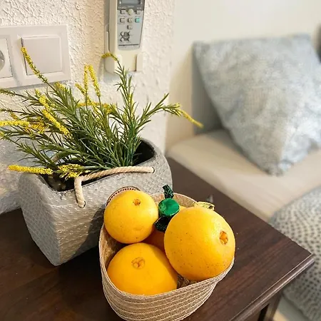 Inn Orange Vibes *