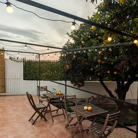 Inn Orange Vibes