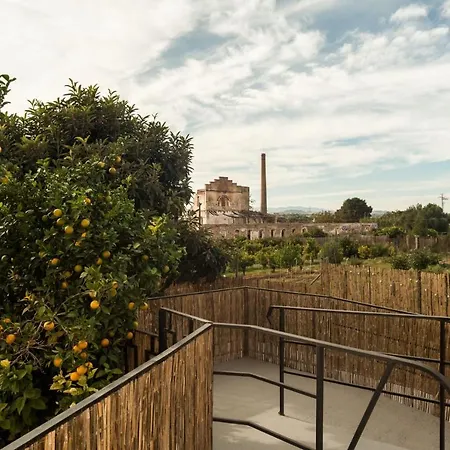 Orange Vibes Paterna