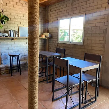 Orange Vibes Paterna