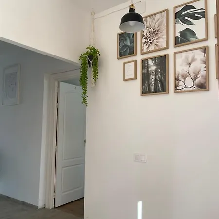 Orange Vibes * Paterna